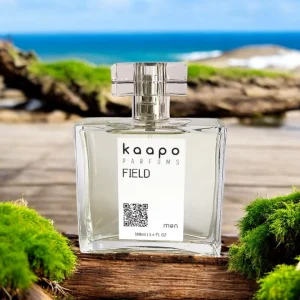 FIELD for Men 100 ml - Ref. Fierce, de Abercrombie & Fitch