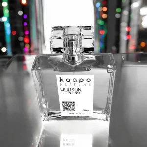 HUDSON INTENSE for Men 100 ml - Ref. Homme Intense, de Christian Dior