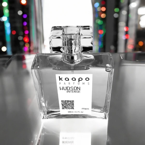 HUDSON INTENSE for Men 100 ml - Ref. Homme Intense, de Christian Dior
